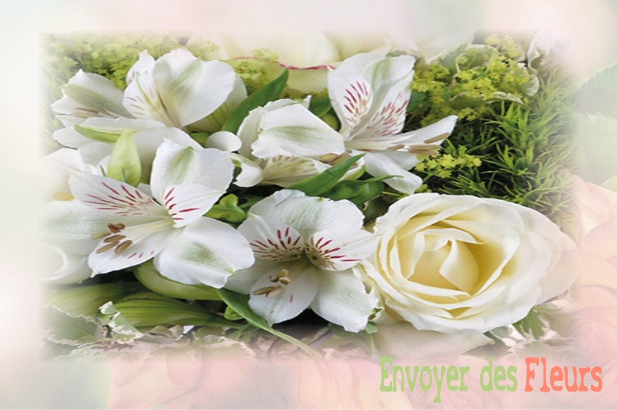 envoyer des fleurs à à MORIERES-LES-AVIGNON